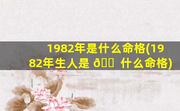 1982年是什么命格(1982年生人是 🐠 什么命格)